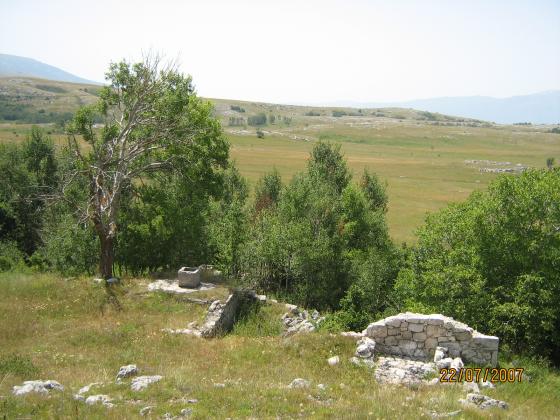 Zuberove košare