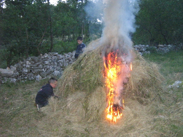 Svitnjak 2010.