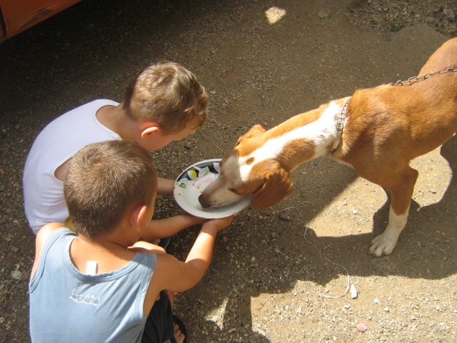 Slike iz sela - lito 2010.